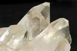 Clear Quartz Crystal Cluster - Brazil #250394-1